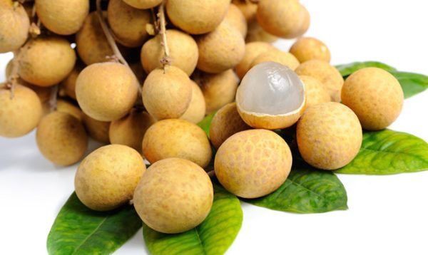Nhãn Lồng