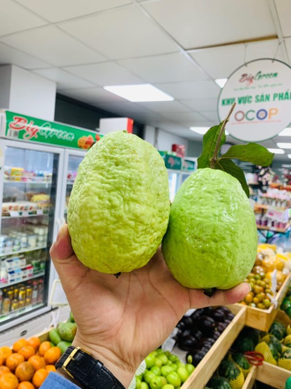 Ổi Lê