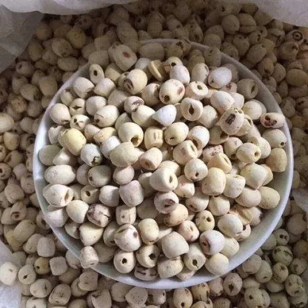 Hạt sen bắc trà máy - Hình ảnh 3