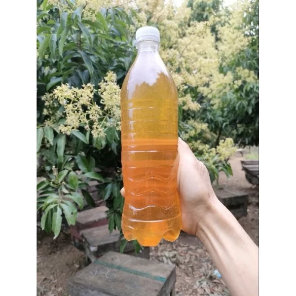 Mật ong hoa vải - Hình ảnh 4